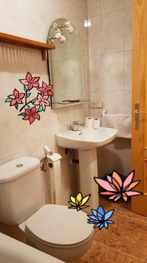 Hostal Plaza 埃尔埃斯皮纳尔 外观 照片